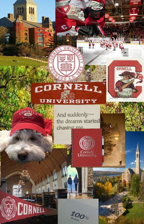 Ivy league 90s Ivy League Aesthetic, Cornell University Aesthetic Wallpaper, Ivy College Aesthetic, Ivy League School Aesthetic, Ivy League Motivation, Ivy League Wallpaper, Black Ivy League, Cornell Aesthetic, Ivy College