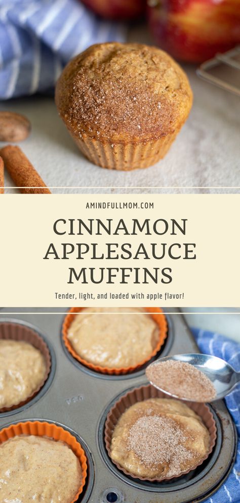 Healthy Muffin Recipes For Diabetics, Honey Applesauce Muffins, Banana Apple Sauce Muffins, Gluten Free Applesauce Muffins Recipes, Whole Wheat Applesauce Muffins, Dairy Free Cinnamon Muffins, Healthy Spice Muffins, Apple Muffins Dairy Free, Apple Sauce Cinnamon Muffins