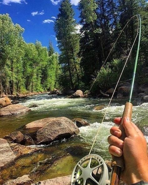 tobias rhodes Trout Fishing Tips, Fly Casting, Conservation Of Natural Resources, Lifestyle Shoot, Fly Fishing Tips, Bass Fishing Tips, Fly Fisherman, Fishing Techniques, True Grit