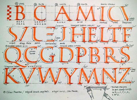 Calligraphy Exemplar, Roman Calligraphy, Roman Capitals, Capital Fonts, Art Sub Lessons, Nib Calligraphy, Fonts Handwriting Alphabet, Calligraphy I, Drawing Instructions