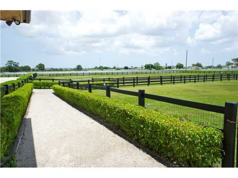 Nice pasture fence and walkway idea. Castle Stables, Livery Yard, Horses Stables, Farm Fences, Wellington Equestrian, Stable Yard, Horse Pasture, Pasture Fencing, Equestrian Stables