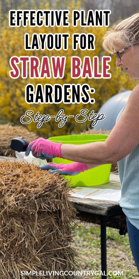 Get ideas to help you maximize the space in a straw bale garden. Learn how to plan an optimal layout that takes into account the positioning of plants, companion planting, and efficient use of resources like water and light. Get creative with your design while still making sure it benefits the health and yield of your veggies! With this guide, you can make your garden look beautiful and provide a plentiful bounty. Straw Bale Gardening Layout, Garden Plant Layout, Strawbale Gardening, Plant Layout, Straw Bale Garden, Growing Vegetables In Pots, Straw Bale Gardening, Grow A Garden, Tomato Trellis