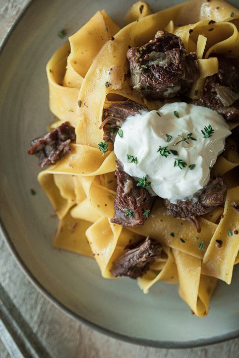 Braised Beef Short Rib Stroganoff, Short Rib Beef Stroganoff, Chuck Ribs Recipe, Short Rib Stroganoff, Beef Stroganoff Instant Pot, Dinner Staples, Instant Pot Beef Stroganoff, Beef Ragu Recipe, Leftover Prime Rib