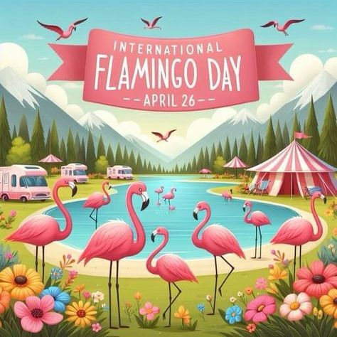 Keep flocking my friends 🦩🦩🦩🦩#internationalflamingoday2024 Flamingo Quotes, Flamingo Happy Birthday, Flamingos Quote, Bulletin Ideas, Flamingo Stuff, Flamingo Pictures, Flamingo Jewelry, Flamingo Theme, Flamingo Decor