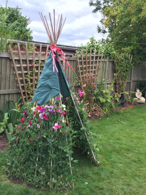 Half teepee half tent! Sweet peas not quite tall enough but still want kids to have outdoor teepee experience. Garden Design For Kids, Outdoor Teepee, Natural Play Spaces, Kid Friendly Backyard, Kids Play Spaces, Play Garden, Diy Water, Have Inspiration, School Garden