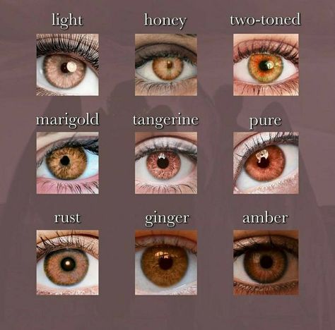 Rare Eye Colors, Eye Color Chart, Rare Eyes, Beautiful Eyes Color, Fire Eyes, Writing Characters, Writing Inspiration Prompts, Book Writing Inspiration, Aesthetic Eyes