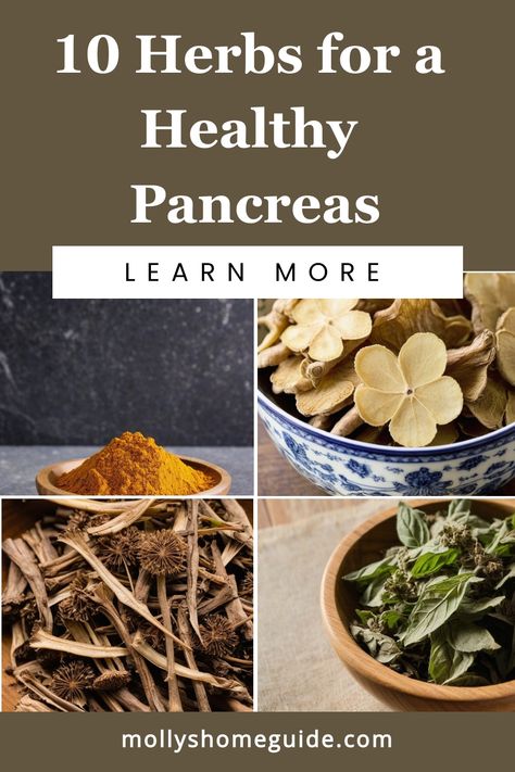 Discover the power of herbs for pancreas health with these natural remedies. Boost your pancreas health with the incredible benefits of incorporating Herbs for Pancreas Health into your daily routine. Nourish and support your body with nature's gifts to promote optimal Pancreas Health. Explore the holistic approach to wellness by including these effective herbs in your lifestyle. Prioritize your well-being by embracing the healing properties of Herbs for Pancreas Health today! Herbs For Organs, Heal Pancreas Naturally, Food For Pancreas Health, Herbs For Pancreas Health, Healthy Pancreas Diet, Apothecary Supplies, Pancreatic Diet Recipes, Organ Health, Properties Of Herbs