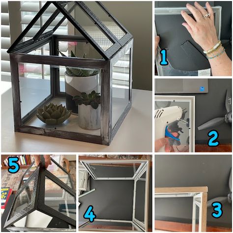 Acrylic Greenhouse Diy, Dollar Store Greenhouse, Diy Dollhouse Dollar Tree, Dollar Tree Greenhouse, Picture Frame Terrarium Diy, Diy Table Top Greenhouse, Mini Green House Diy, Diy Greenhouse Cheap Easy Indoor, Table Top Greenhouse Diy