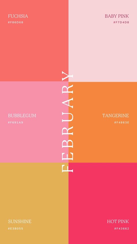 February Colors Palette, 6 Color Combinations Colour Palettes, Fun Color Palette With Hex Codes, Self Love Color Palette, Color Schemes Graphic Design, Colorful Branding Palette, Bold Branding Design Color Palettes, Graphic Design Palette Color, Pink Summer Color Palette