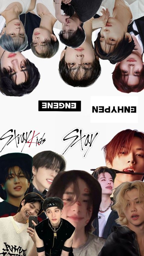 Wallpaper Stray Kids and Enhypen Stray Kids And Enhypen, Wallaper Phone, Wallpaper Stray Kids, Kids Collage, Cute Laptop Wallpaper, Pretty Phone Wallpaper, Hello Kitty Iphone Wallpaper, Savage Kids, Pop Bands