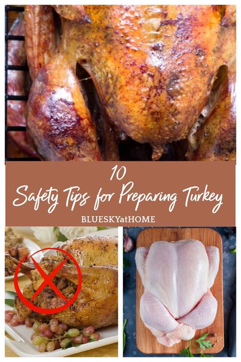 10 Safety Tips for Preparing Turkey You Should Know. Tips for keeping your Thanksgiving turkey preparation clean and sanitized. Steps to protecting your kitchen from contamination. Turkey Preparation, Preparing Turkey, Food Safety Tips, Thanksgiving Meal, Delicious Thanksgiving, Chafing Dishes, Cooking Lessons, Culinary School, Roasted Turkey