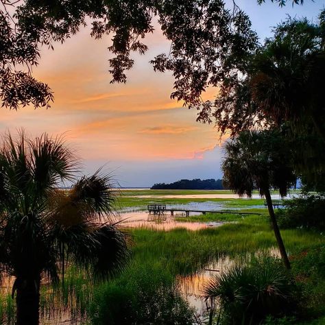 Down South Aesthetic, Beaufort South Carolina Aesthetic, Lowcountry Aesthetic, South Carolina Marsh, South Aesthetic, South Carolina Aesthetic, Florida Scenery, Carolina Aesthetic, Southern Aesthetic