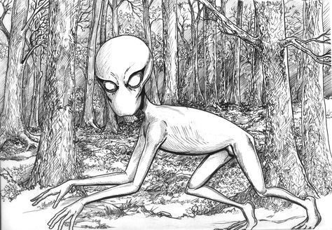 Dover Demon- Alien Cryptid: in Dover Massachusetts, on April 21, 1977, a strange creature was seen by multiple people. It had a melon head and long thing legs and arms. The first account said it had orange eyes, while the second said it had green eyes. This important difference in description has people doubting it. Thought to actually be a new born moose. No conclusive evidence exists on this creature. Dover Massachusetts, Dover Demon, Black Beast, Unsolved Mystery, Real Monsters, Demon Art, Mythological Creatures, The Subject, Weird Creatures