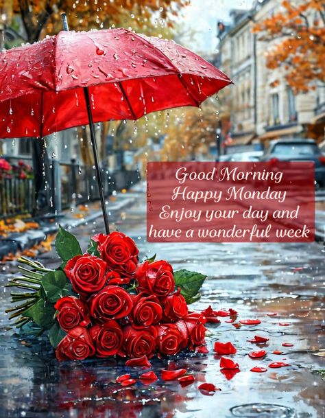 Happy Rainy Monday, Rainy Monday, Good Morning Animated Images, Have A Blessed Week, Blessed Week, Good Morning Happy Monday, Monday Blessings, Morning Quotes Funny, Good Morning Animation