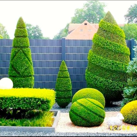 Topiary Garden Ideas, Hedges Landscaping, Modern Garden Design Ideas, Amazing Landscaping Ideas, Outdoor Topiary, Topiary Plants, Zen Garden Design, Evergreen Garden, Topiary Garden