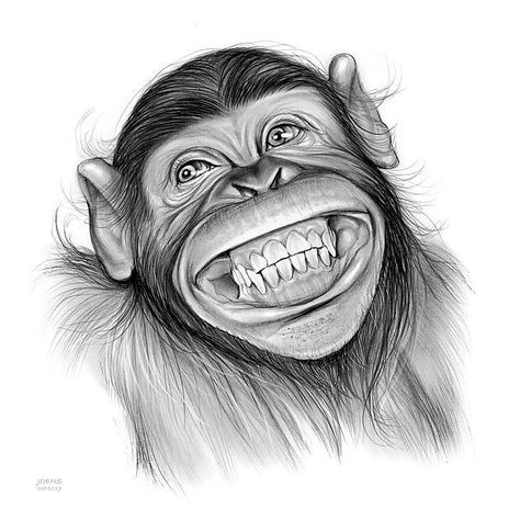 Cute Pencil Sketches, Animal Art Drawing Sketches, Drawing Ideas Dog, Pencil Sketches Of Animals, Sketches Of Animals, Sketches Animals, Animals Sketch, Monkey Drawing, Monkey Tattoos