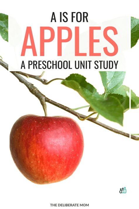 Check out this complete preschool curriculum to explore apples AND the letter A. This comprehensive apple curriculum includes activities for various subjects, recommended books about apples, and so much more! #preschoolhomeschool Apple Curriculum, Books About Apples, A Is For Apple, Ideas For Preschoolers, Child Guidance, Toddler Curriculum, Free Homeschool Resources, Text Letters, Book Bins