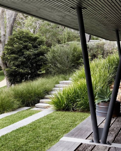 Ornamental Grass Landscape, Ornamental Grass, Grasses Landscaping, Australian Garden, Sloped Garden, Garden Steps, Contemporary Garden, Native Garden, Garden Landscape Design