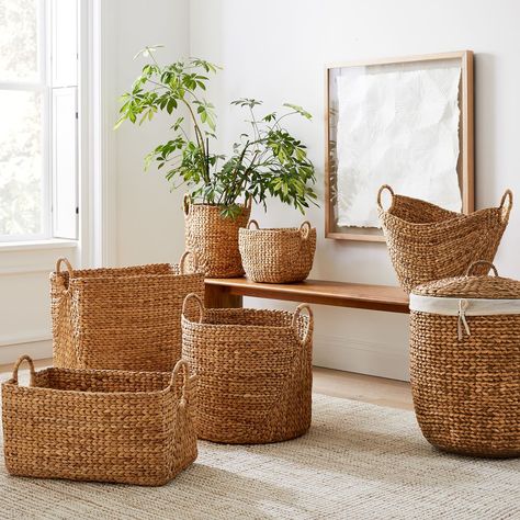 Curved Basket Collection - Natural | West Elm Basket Collection, Big Basket, Lidded Baskets, Wood Basket, Small Space Organization, Seagrass Basket, Space Organizer, Water Hyacinth, Stained Wood