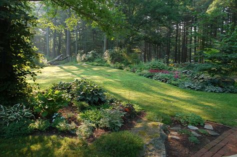 Love the blending of garden into forest... Wooded Backyard Landscape, Backyard Shade, Forest Garden, Magical Garden, Woodland Garden, Garden Pathway, Forest Landscape, Shade Garden, Lush Green