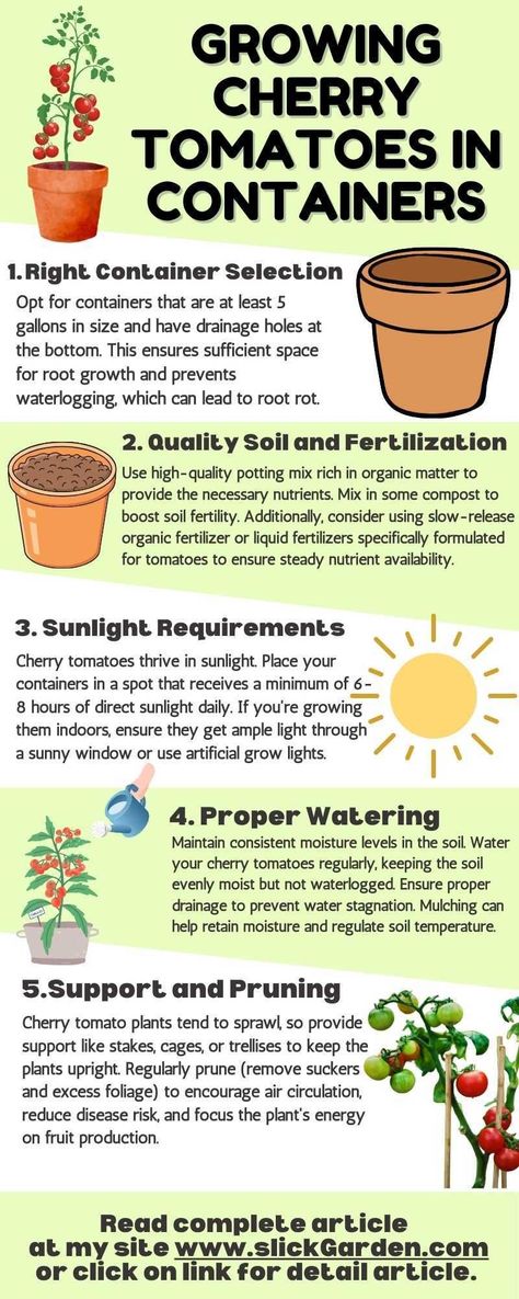 "Savor the sweetness of success with our Ultimate Guide: Growing Cherry Tomatoes in Containers. 🌿 Whether you're a novice or a seasoned gardener, this comprehensive guide will empower you to cultivate delicious cherry tomatoes right on your balcony or terrace. #ContainerGardening101 #TomatoBliss" Growing Cherry Tomatoes In Containers, How To Grow Cherry Tomatoes In A Pot, How To Plant Cherry Tomatoes, Grow Tomatoes In Containers, How To Grow Cherry Tomatoes, Cherry Tomato Plants Growing Tips, Cherry Tomato Plant Care, Tomato Hanging Basket, Grow Cherry Tomatoes