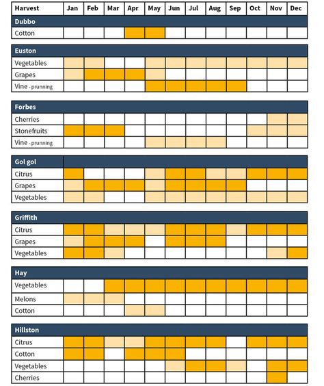 Fruit picking seasons in Australia - Harvest Calendar Harvest Calendar, Fruit Picking, Harvest Season, Calendar 2024, The Fruit, Grapes, Australia, Fruit