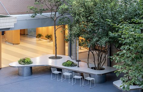 Tree Desk Garden, China by Daguan Landscape Design  A vivid garden in the center of a middle school campus Table Around Tree, Office Garden Outdoor, School Garden Design, Tree Desk, Desk Garden, Unique Table Design, Outdoor Learning Spaces, School Campus, Office Garden