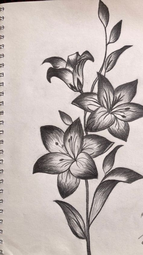 Flower Drawing With Shading, Flower Drawing Tattoo Sketches, Shaded Flower Drawing, Sketsa Flora Simple, Flower Sketches Pencil Shading, Flower Pencil Shading, Flower Shading Drawing, Pencil Flower Drawings, Flower Drawing Design Simple