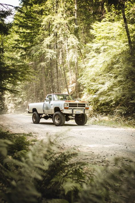 Dodge First Gen, 1st Gen Dodge Cummins, Cummins Wallpaper, First Gen Cummins, First Gen Dodge, Old Chevy Pickups, 2nd Gen Cummins, Cummins Diesel Trucks, Hunting Truck