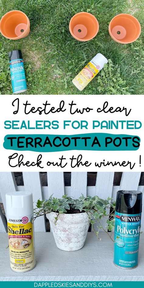 Test of two clear sealers to find the best sealer for painted clay pots. Painting A Clay Pot, Paint On Terracotta Pots, How To Paint A Terra Cotta Pot, Diy Painting Terra Cotta Pots, Painting Terra Cotta Pots Outdoor, Decorate Clay Pots Terra Cotta, Painted Clay Pots Ideas Diy, How To Paint A Ceramic Pot, Painting Ideas For Terra Cotta Pots