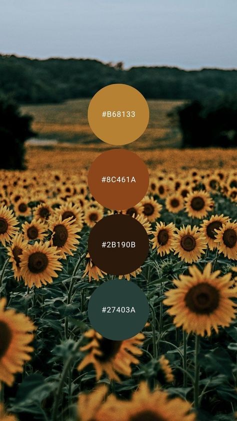 Mustard And Green Palette, Green Yellow And Brown Color Palette, Sunflower Living Room Decor Ideas, Amber And Sage Color Palette, Brown And Yellow Colour Palette, Earth Tone Yellow, Brown Green Gold Color Palette, Mustard Wedding Colors Colour Palettes, Yellow Orange Brown Color Palette