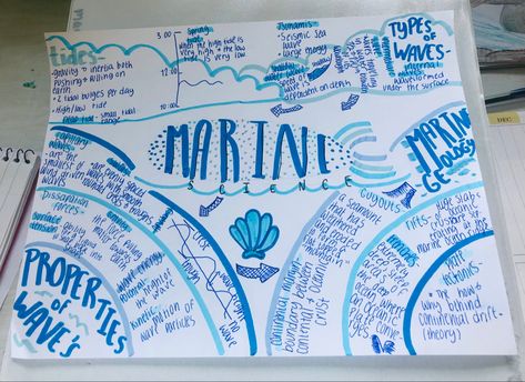 One Pagers, Marine Science, One Pager, Surface Tension, Under The Surface, Wind Wave, Sea Waves, Handwriting, High & Low