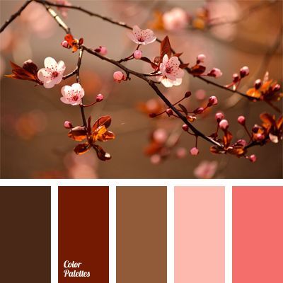 Color Concept, Color Schemes Colour Palettes, Color Palate, Design Seeds, Color Balance, Color My World, Colour Inspiration, Trik Fotografi, New Wall