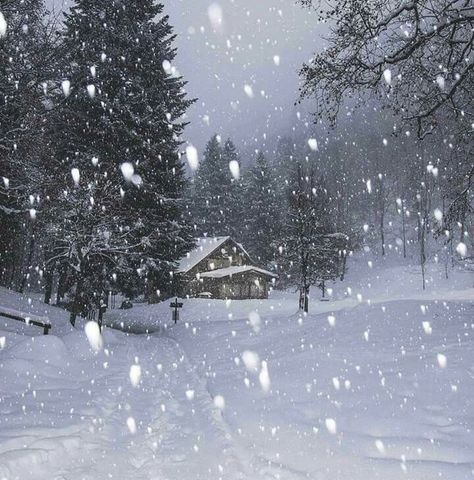 Snowy Scene, Snow Falling, I Love Snow, I Love Winter, Winter's Tale, Winter Love, Winter Magic, Winter Scenery, Winter Beauty