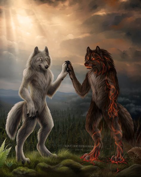 Duality by Sidonie on DeviantArt Wolf Meme, Alpha Werewolf, Wolf Images, Alpha Wolf, Werewolf Art, Vampires And Werewolves, Wolf Wallpaper, Wolf Pictures, Wolf Spirit