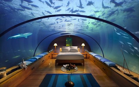 You can hire underwater suites in Burj Al Arab, Dubai with giant fishes hovering over you Poseidon Undersea Resort, Underwater Hotel Room, Underwater Bedroom, جزر المالديف, Underwater Room, Underwater Hotel, Sea Holiday, Maldives Hotel, Fairy Pools