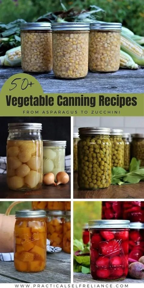 50+ Vegetable Canning Recipes: Canning Vegetables for Beginners - If you're looking for pressure canning recipes or water bath canning recipes, you'll love all of my favorite veggie canning recipes from water bath canning asparagus to water bath canning zucchini. Plus learn all about pressure canning vegetables! pressure canning for beginners | water bath canning for beginners | canning veggies from garden | pickling and canning | pressure canning tomatoes | vegetable canning ideas Canned Vegetable Recipes, Vegetable Canning, Can Vegetables, Canned Veggies, Water Bath Canning Recipes, Delicious Green Beans, Easy Canning, Pressure Canning Recipes, Canning Sweet Potatoes