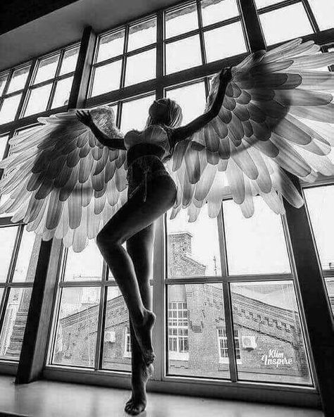 Photographic Evidence | Facebook Photo Glamour, Angel Photography, Ange Demon, 사진 촬영 포즈, Angels Among Us, Foto Poses, Angel And Devil, Angel Pictures, Foto Art