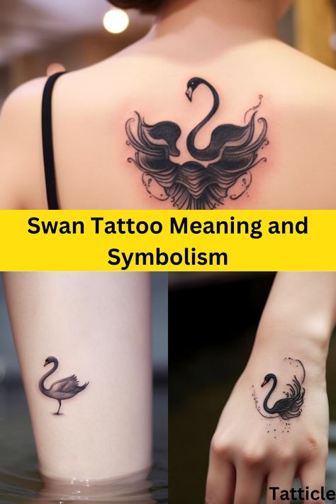 Swan Tattoo Swan Back Tattoo Women, Black Swan Tattoo Design, Swan Tatoos Design, Black Swan Back Tattoo, Black And White Swan Tattoo, Black Swan Tattoo Ideas, Swan Tattoo Design, Tattoo Swan, Swan Symbolism Meaning