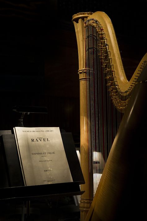 Harp | <b>This one is for you, P.I.</b> Nikon D3s + 24-70mm f/2.8G | Casa da Música, Porto, PT, 17 March 2012 © 2012 José Francisco Salgado, PhD Do not use without permission. Baroque Music Aesthetic, Harpist Aesthetic, Harp Aesthetic, Pretty Instruments, Dark Wings, Music Student, Music Aesthetic, The Secret History, Types Of Music