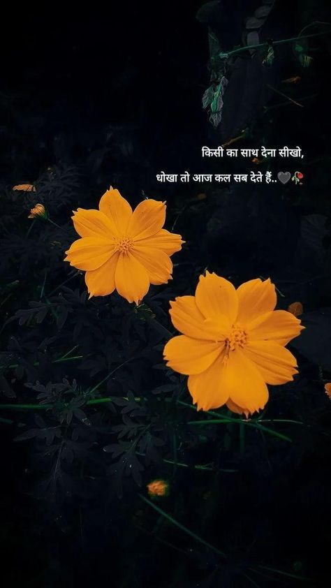 Nature Photography Quotes, Flowers Quotes, Best Snapchat, Quotes Hindi, Cute Images With Quotes, Garden Quotes, Krishna Quotes, Quotes In Hindi, Flower Quotes