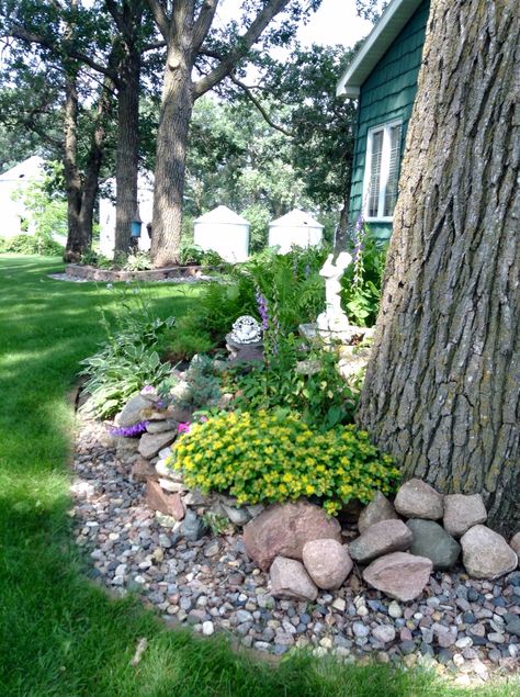 Part of the farm rock garden with blooming Edam in yellow - Summer 2015 Tree With Rocks Around It, Layered Rock Garden, Rock Garden Around Tree, Rocks Around Tree, Northern Garden, Tree Landscaping, Rockery Garden, Brick Garden Edging, Trees For Front Yard