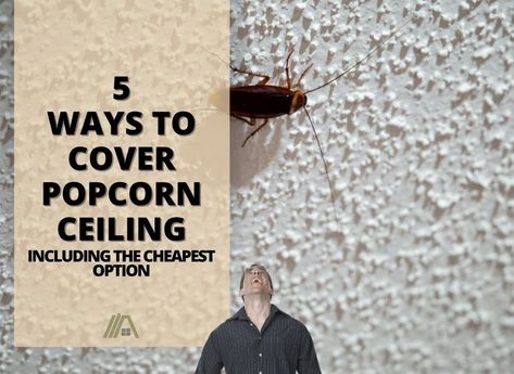 5 Ways to Cover Popcorn Ceiling (Including the cheapest option) - The Tibble Painting Over Popcorn Ceiling, Easy Popcorn Ceiling Cover Up, Drywall Over Popcorn Ceiling, Diy Remove Popcorn Ceiling, Fix Popcorn Ceiling Diy, Covering Up Popcorn Ceiling, How To Cover Up Popcorn Ceiling, Ideas To Cover Popcorn Ceiling, Cheap Ceiling Ideas Diy Bedroom