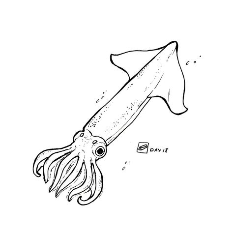 Small Squid Tattoo, Squid Doodle, Squid Tattoo Design, Squid Drawing Simple, Deep Sea Fish Drawing, Squid Sketch, Sea Creature Line Tattoo, Octopus Line Drawing, Discus Fish Tattoo