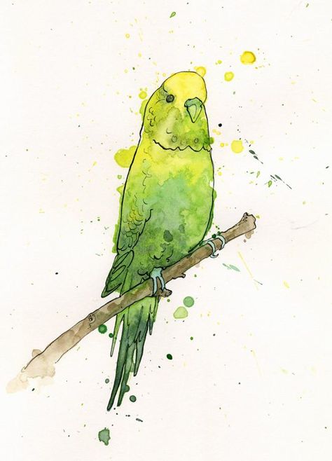 Budgie Watercolor, 2015 Music, Pen And Watercolor, Art Ink, Watercolor Illustration, Pen And Ink, Art Journal, Watercolor Paintings, Harry Potter