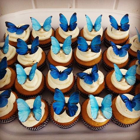 cupcakes with edible butterflies Blue Butterfly Baby Shower Ideas, Butterfly 15 Theme Blue, Blue Butterfly Cupcakes, Navy Blue Butterfly Cake, Blue Butterfly Cake Ideas, Cupcake Azul, Muffins Decorados, Quincenera Blue Dresses With Butyerflies, Debut Cake