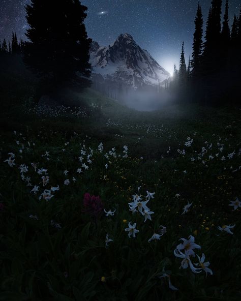 Another foggy twilight watching the Andromeda Galaxy rise over Mt Rainier from the South in the Indian Henry Wilderness. Mt Rainier, Washington. by @blazing_heavens [OC] [2048x2560] Milky Way Photography, Whirlpool Galaxy, Andromeda Galaxy, Image Nature, Mount Rainier National Park, Mt Rainier, Pretty Landscapes, The Night Sky, Nature Aesthetic