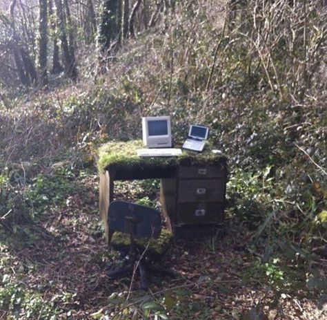 In The Woods, In The Middle, The Middle, Forest, Computer, Desk