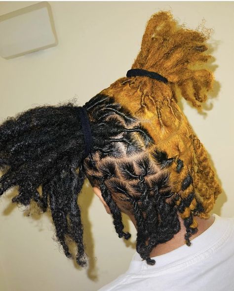 Cute Colors To Dye Your Locs, Hair Dye Colors For Locs, Colors To Dye Your Dreads, Cute Loc Colors, Hair Color Ideas For Locs, Dread Dye Ideas, Skunk Stripe Locs, Dyed Locs Black Women, Two Tone Locs