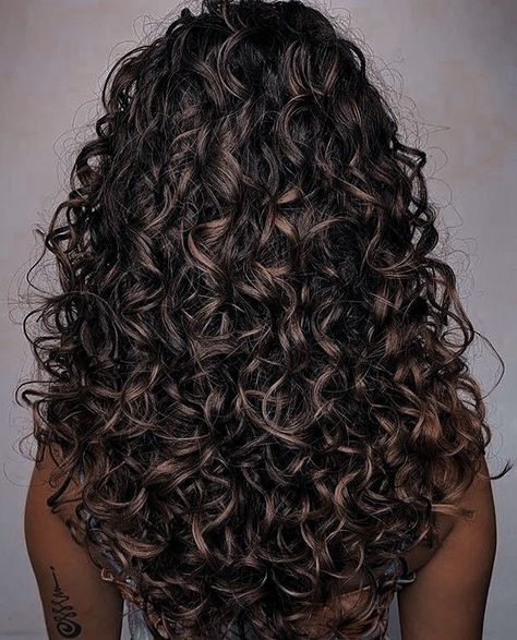 Long Haircut With Layers Curly, Dark Brown Hair With Highlights On Curly Hair, Dark Permed Hair, Deep Chocolate Brown Curly Hair, Dark Curly Hair With Light Brown Highlights, Highlights For Dark Brown Hair Curly Long Layered, Black Brown Curly Hair, Black Curly Hair Color Ideas, Black Hair Balayage Curly